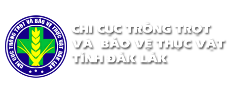 Thông tin nội bộ – Giao diện web đẹp
